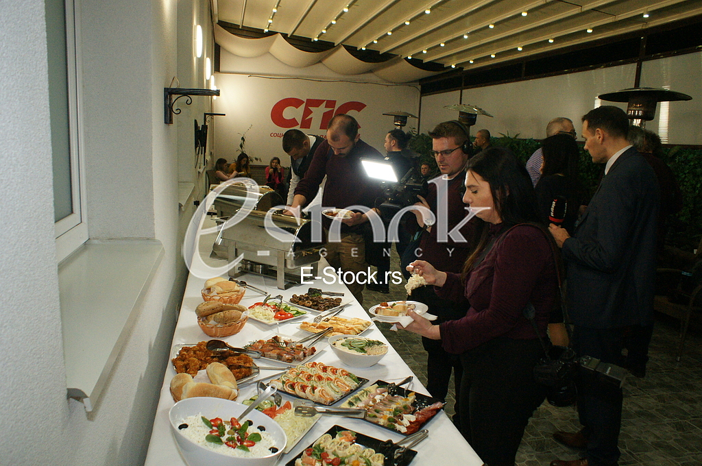 Dacic SPS Stranka pred izbore