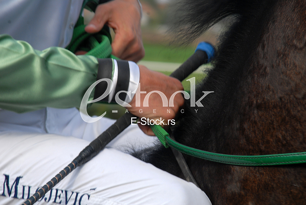 Ljubicevo Equestrian Games

