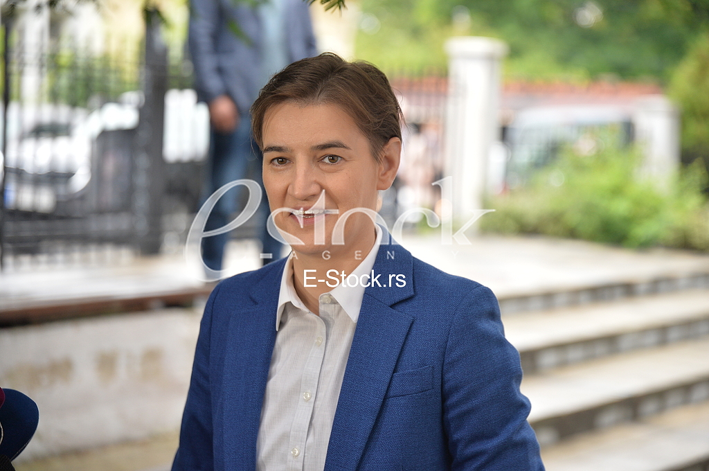 Ana Brnabic