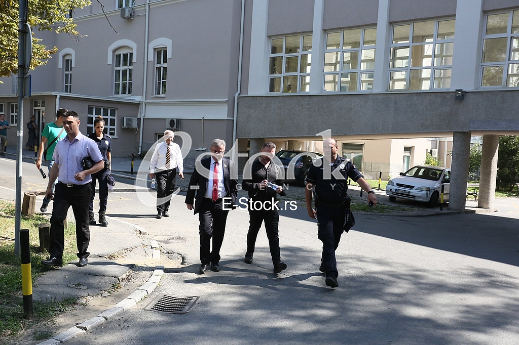 Dragomir Karic Simon de Karic