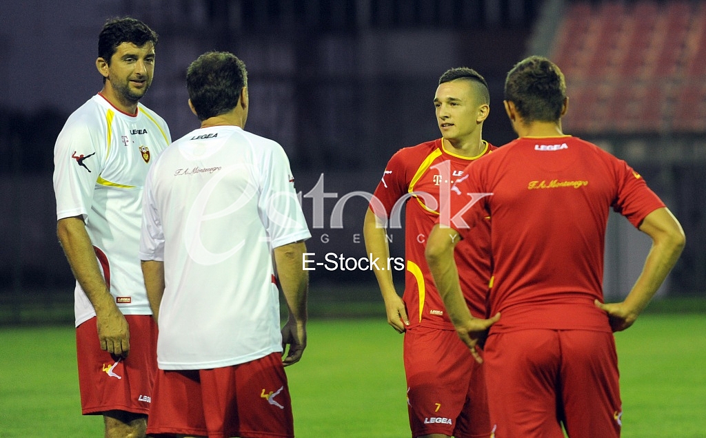Stanisa Mandic