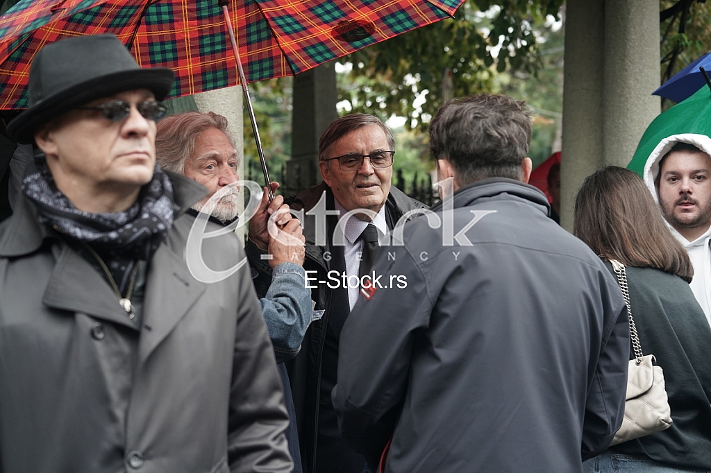 Radoslav Zelenovic Radoslav Zelenovic