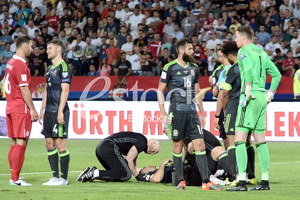  Serbia-Wales, football match.
