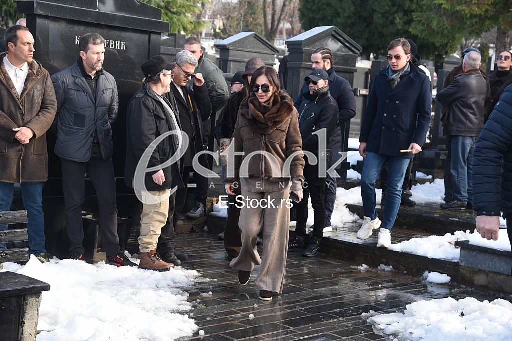 Svetlana Ceca Raznatovic