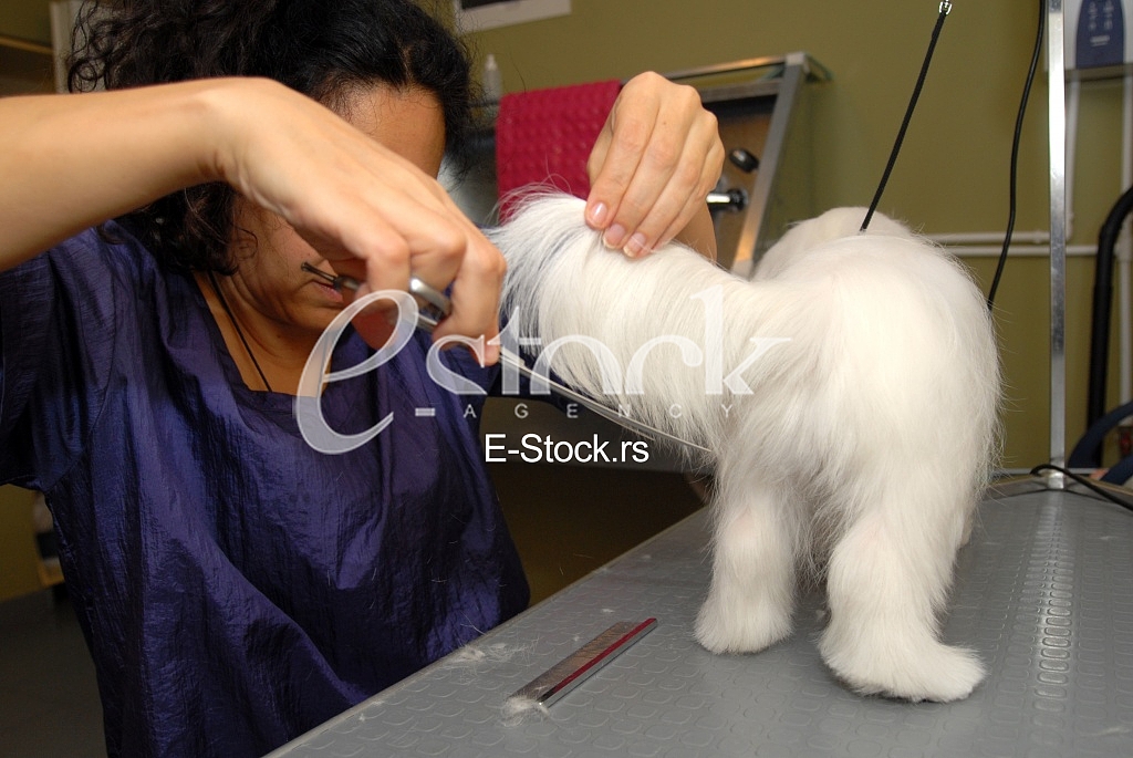 Grooming