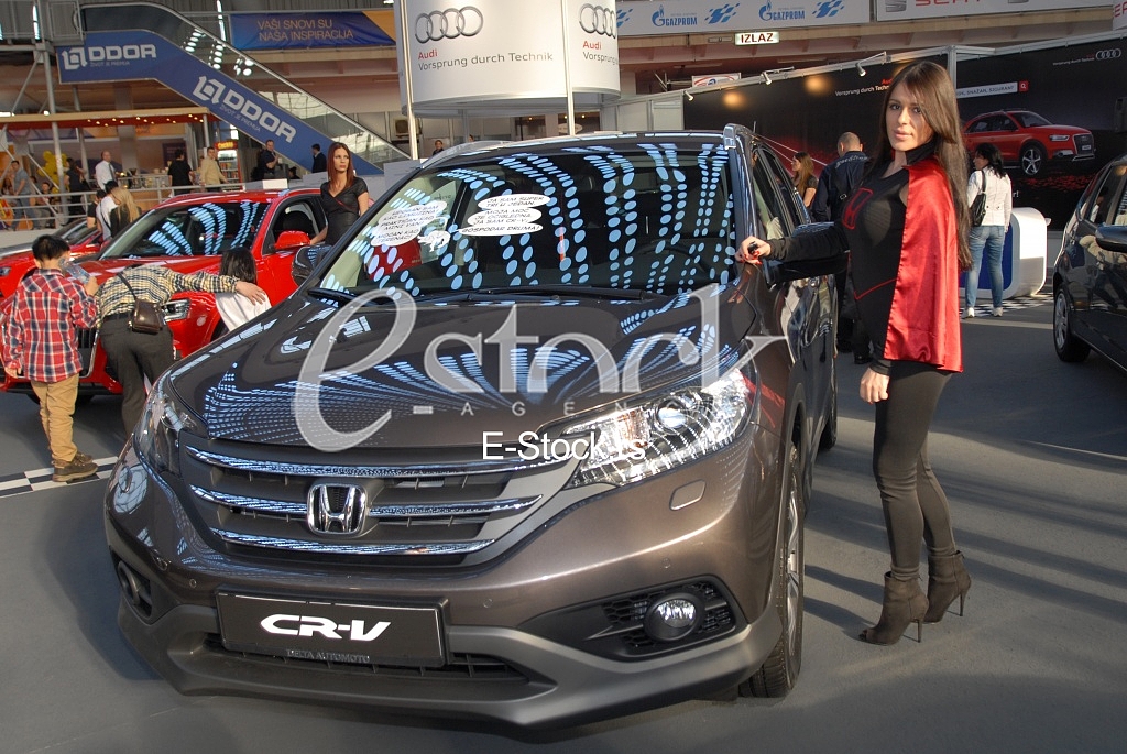 The Car Show