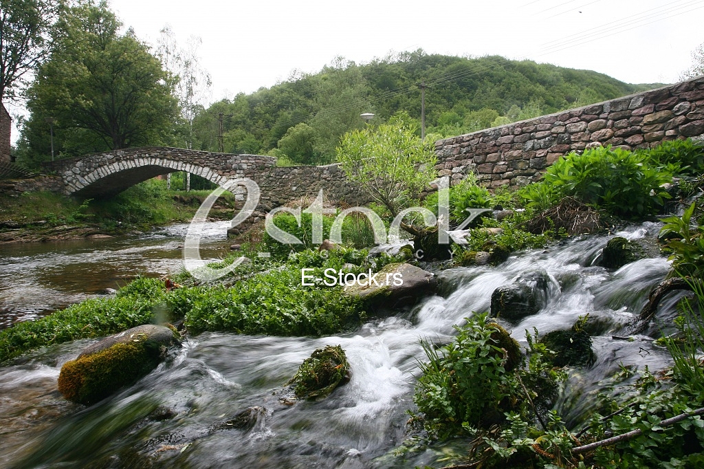 Mountain river flowing at summer forest landscape with stone bridge