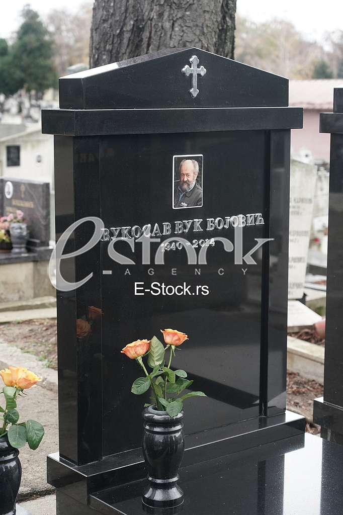 Grob Vuk Luka Bojovic