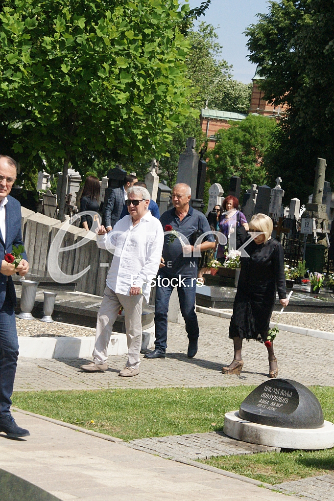 Slavica Djukic Dejanovic