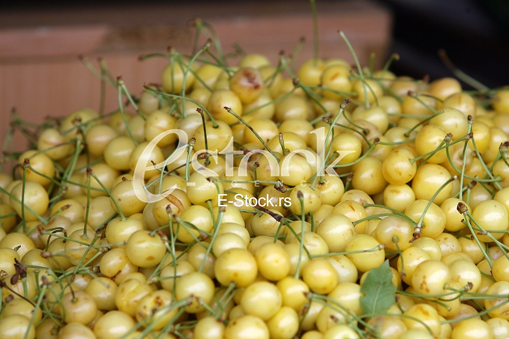 fresh white cherries natura whitel cherry to background on the street market