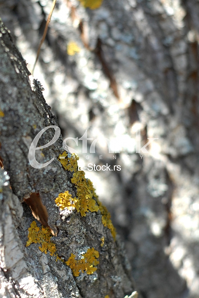 Ecology