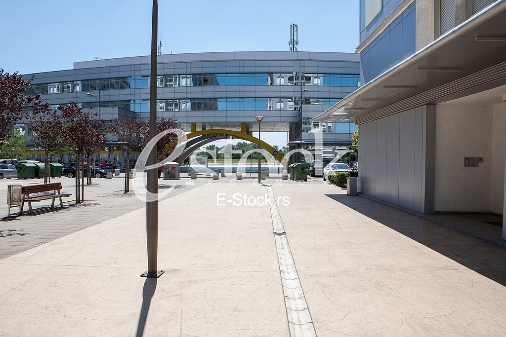 Murder place of Aleksandar Stamenkovic