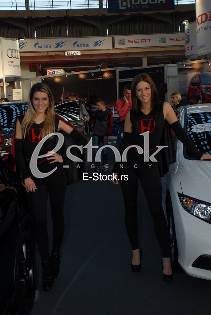 The Car Show