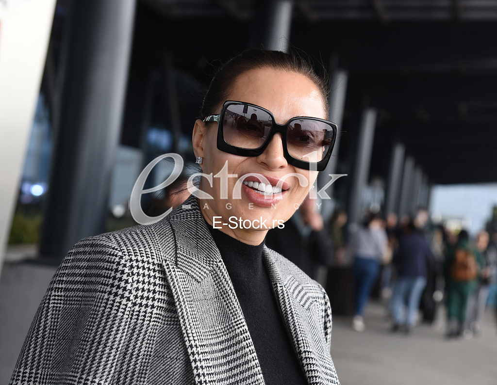 Ceca Raznatovic_aerodrom