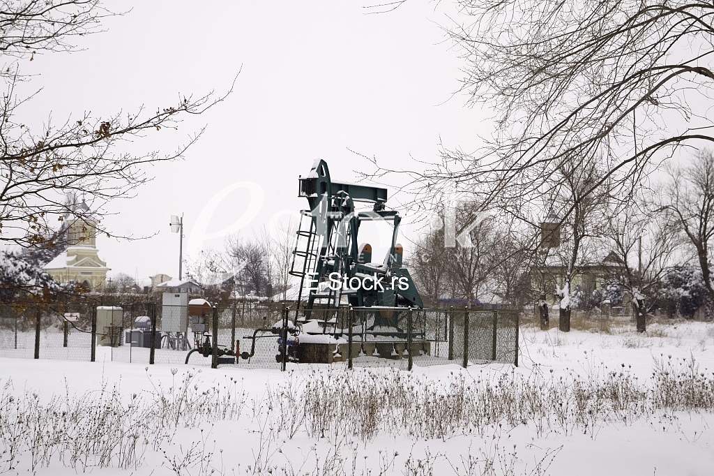 Oil