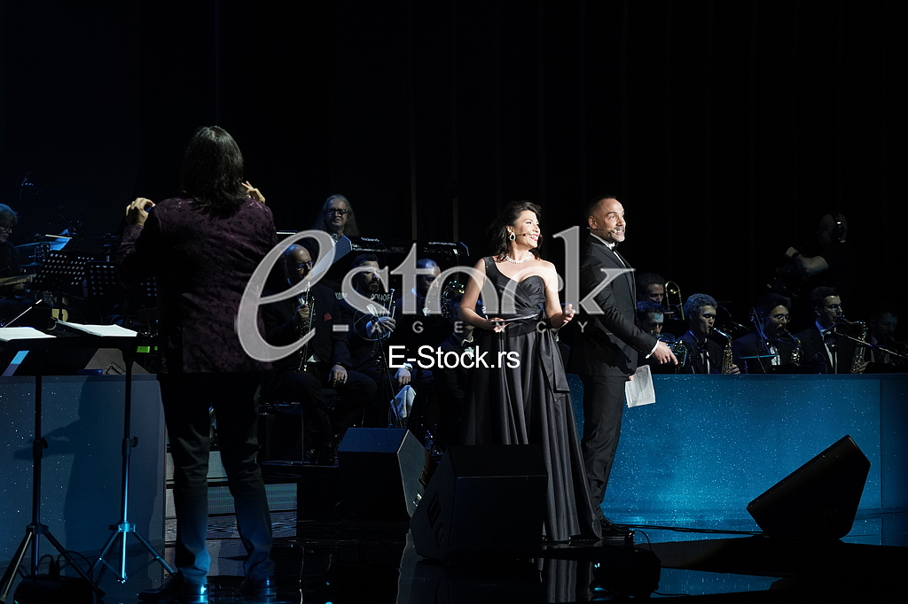 Milena Vasic i Srdjan Timarov