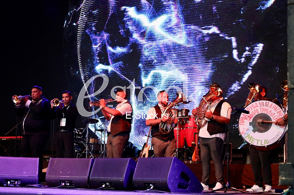Orkestar Elvisa Bajramovica
