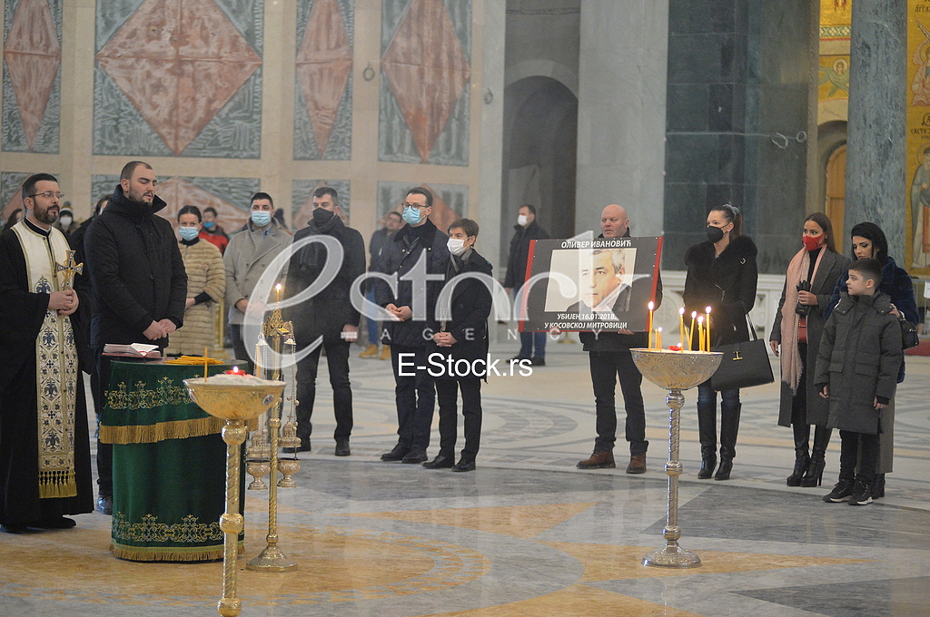 Zoran Djordjevic, Petar Petkovic, Ana Brnabic, Simo Spasic, Milena Ivanovic i Bogdan Ivanovic