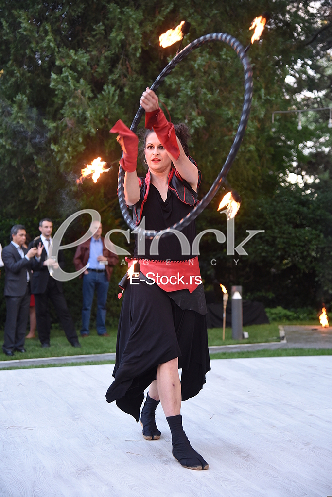 Summer party in the German embassy