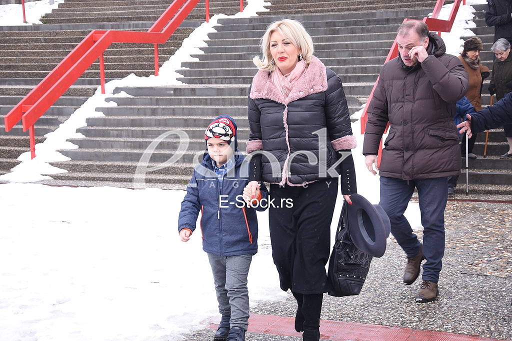 Voting Jadranka Joksimovic