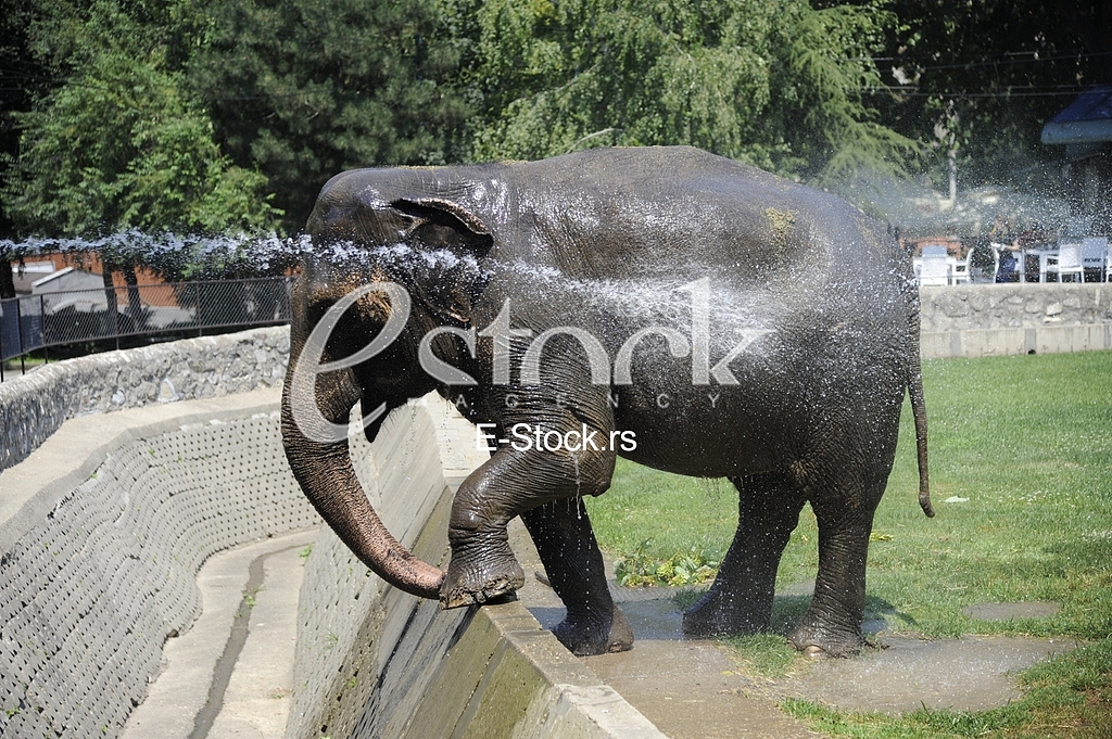 Belgrade zoo on summer day