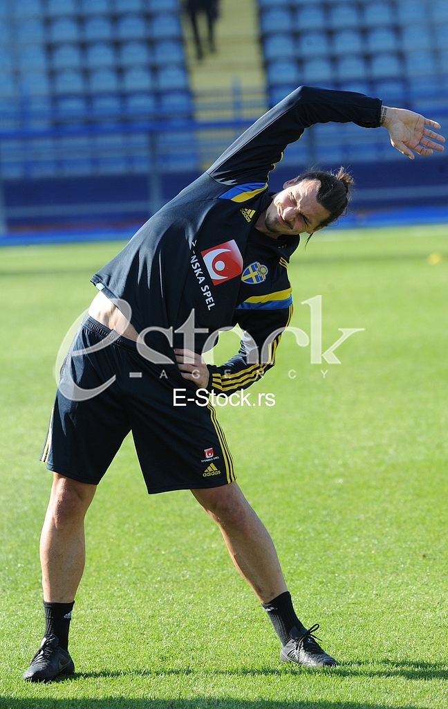 Training of Sweden national football