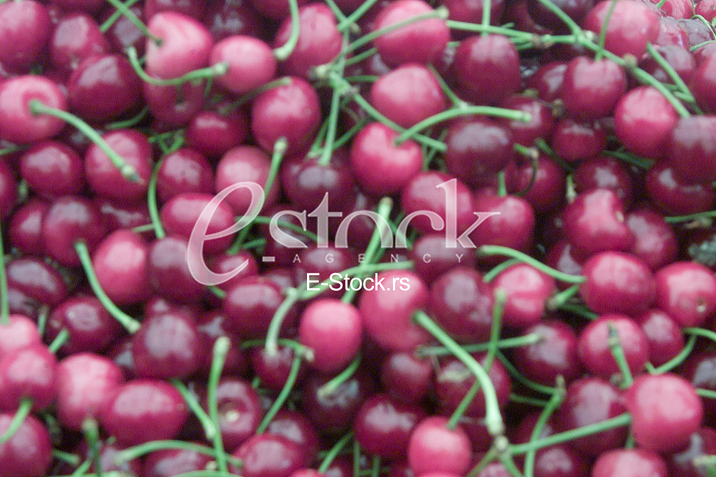 Visnja, Cherry