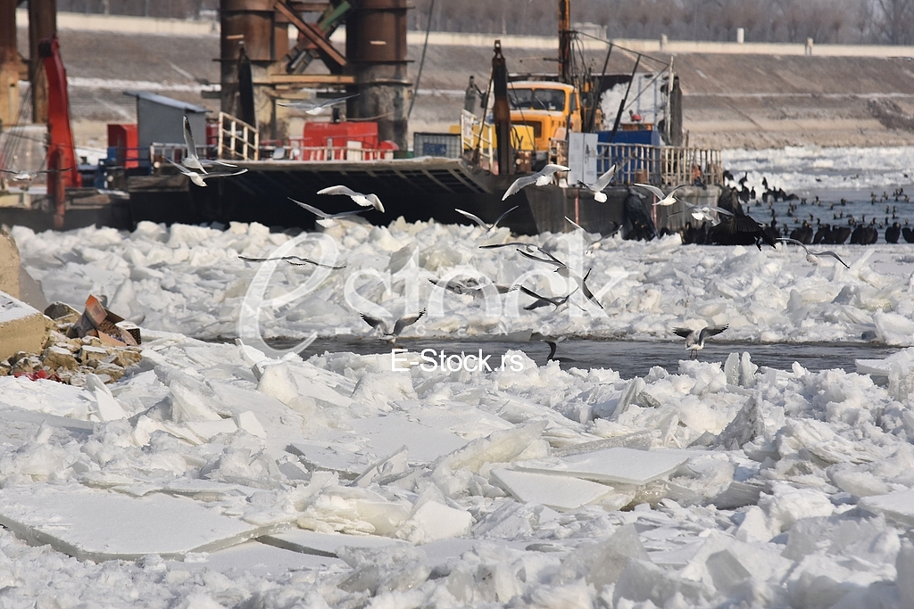 Zaledjen Dunav/ Frozen Danube