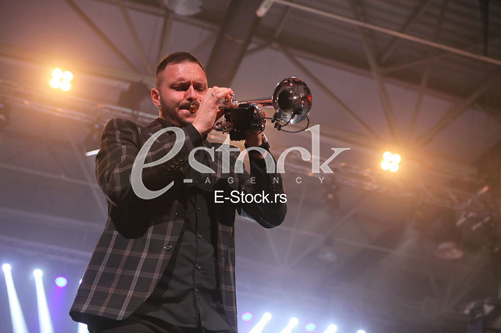 Koncert Dejan Petrovic BIBAD,Expocentar.
