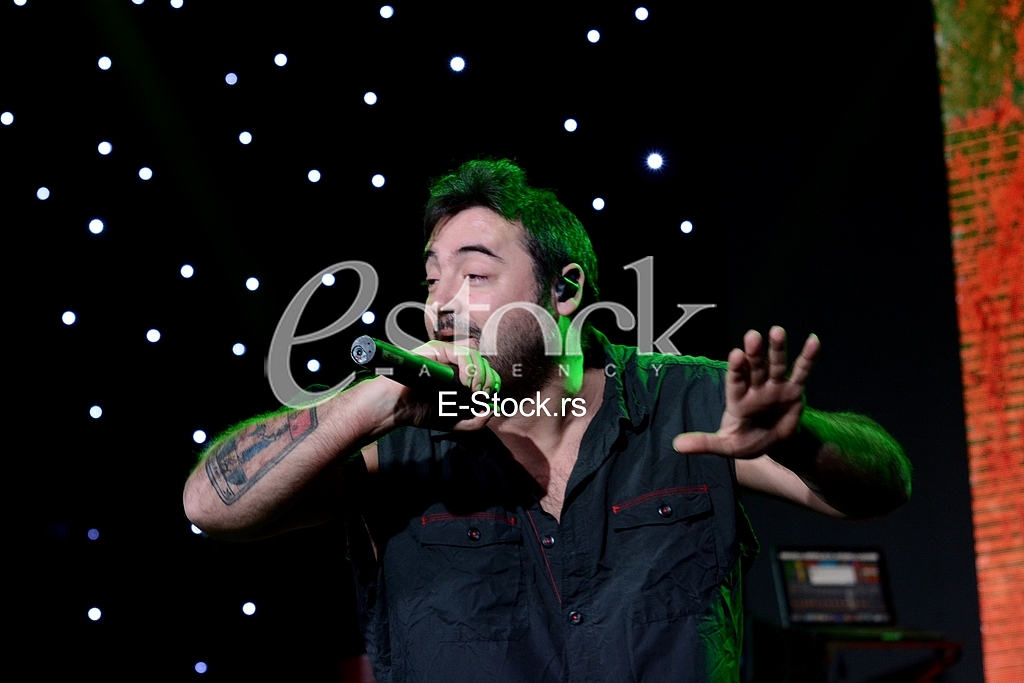 Che Sudaka muzicka grupa