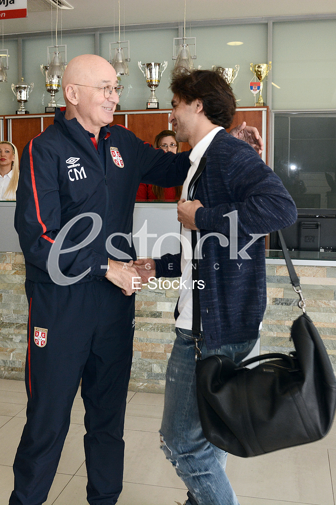 Football Association of Serbia, the Serbian team.