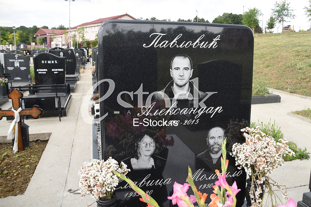  Aleksandar Pavlovic's grave 
