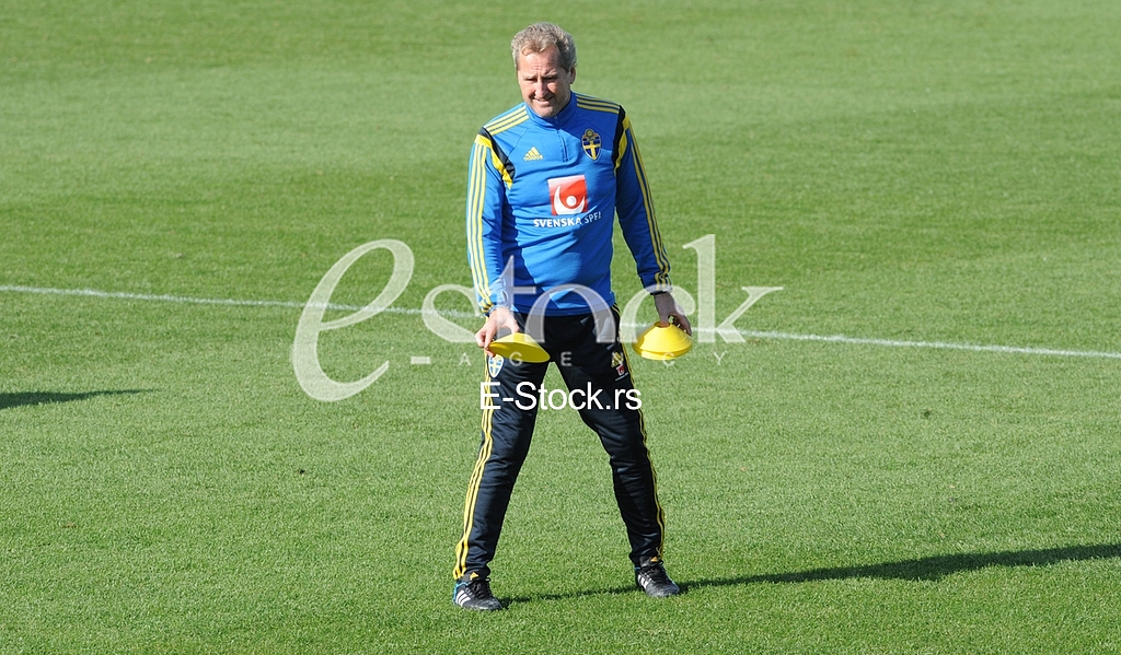 Training of Sweden national football