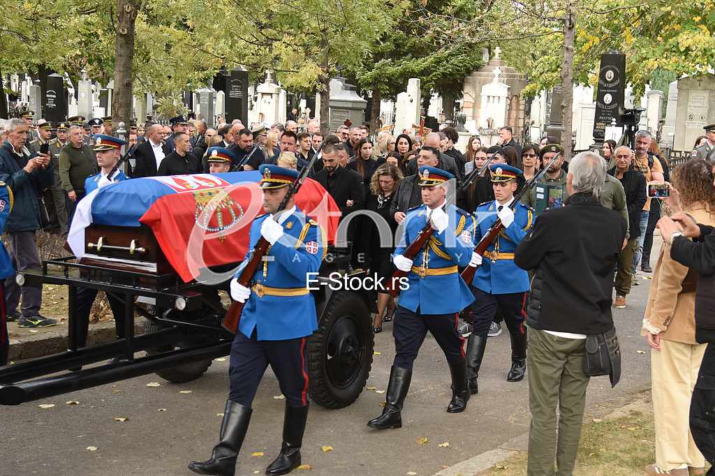 Nebojsa Pavkovic porodica