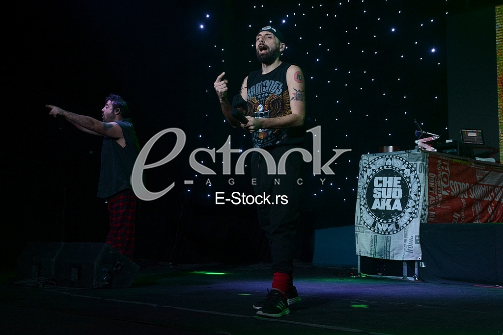Che Sudaka muzicka grupa