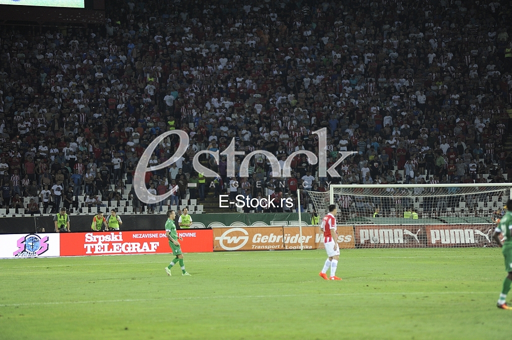 Qualification for the Champions League Red Star - Ludogorets
