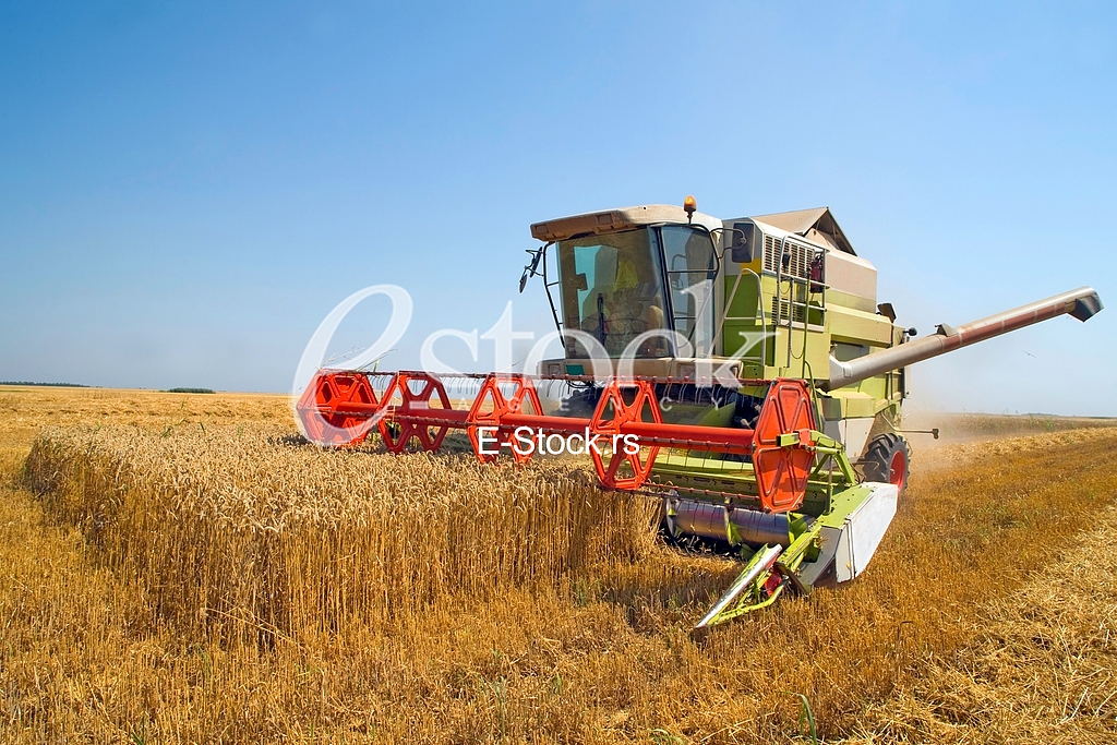 Agriculture