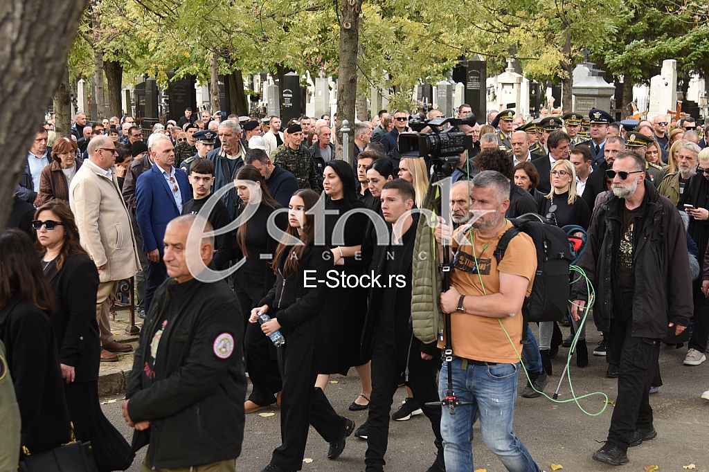 Nebojsa Pavkovic porodica
