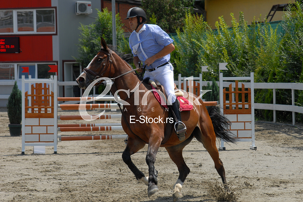 Equestrian Sport