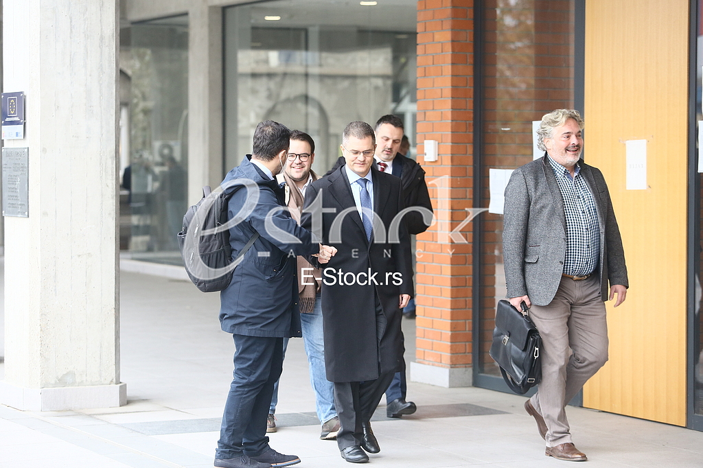 Vuk Jeremic i Vladimir Gajic
