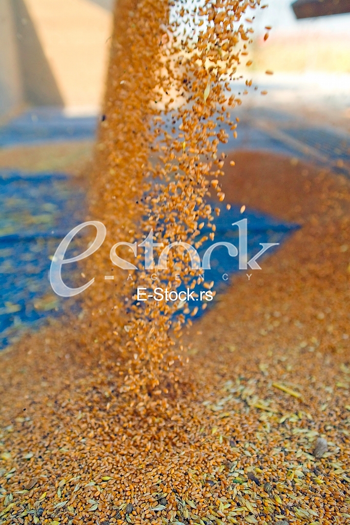 Agriculture