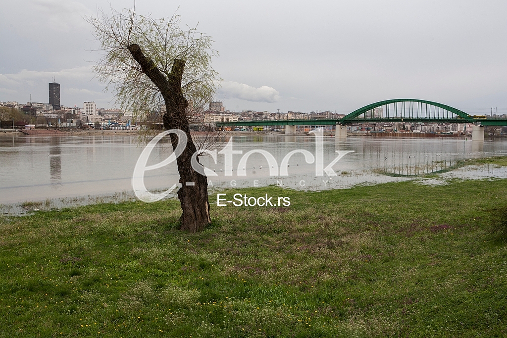 Flood