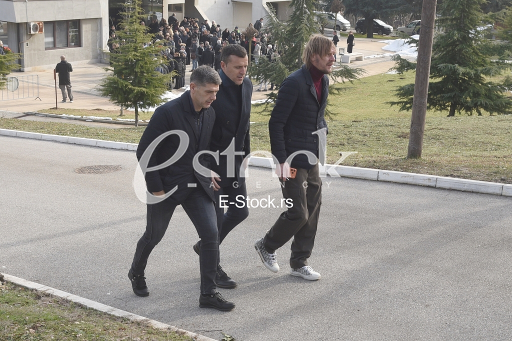 Nemanja Vidic porodica