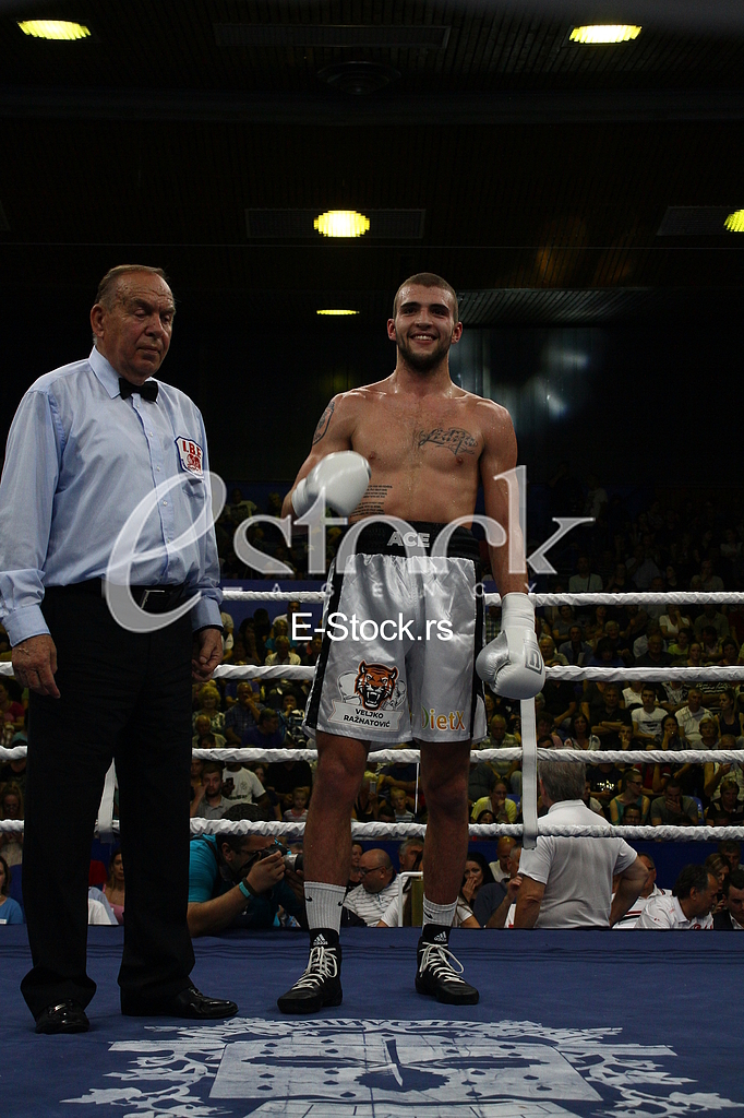 dragan markovic palma, jagodina, bokserski turnir, veljko raznatovic