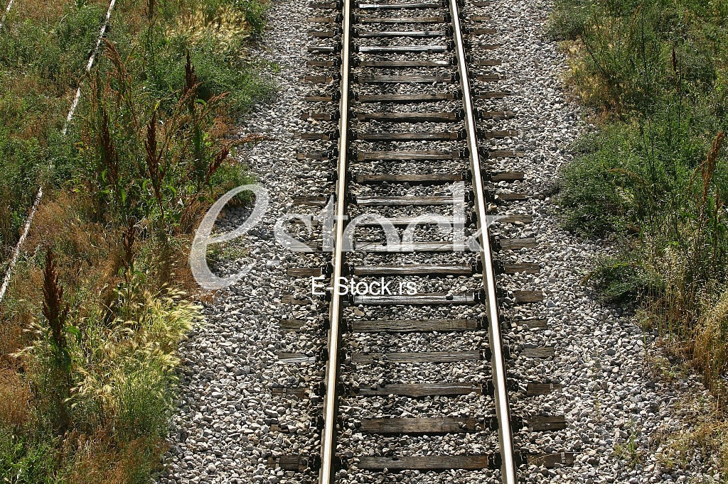 Cargo train platform railway tracks in a rural scene