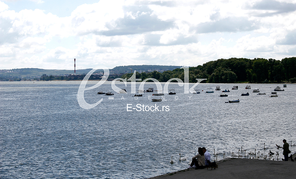 dunav , zemun
