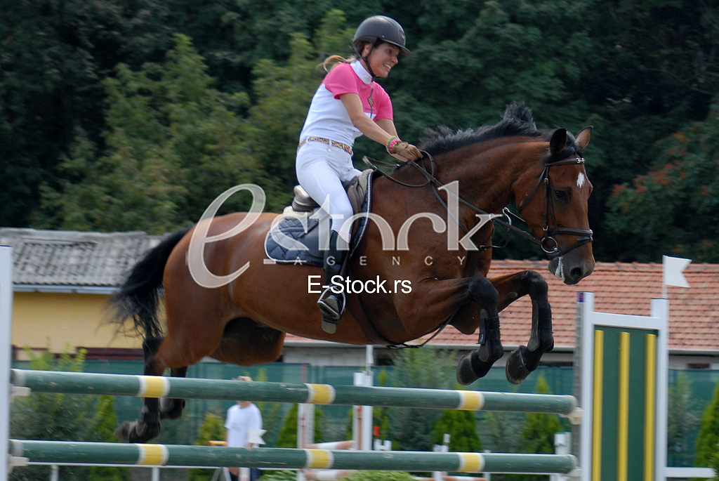 Equestrian Sport