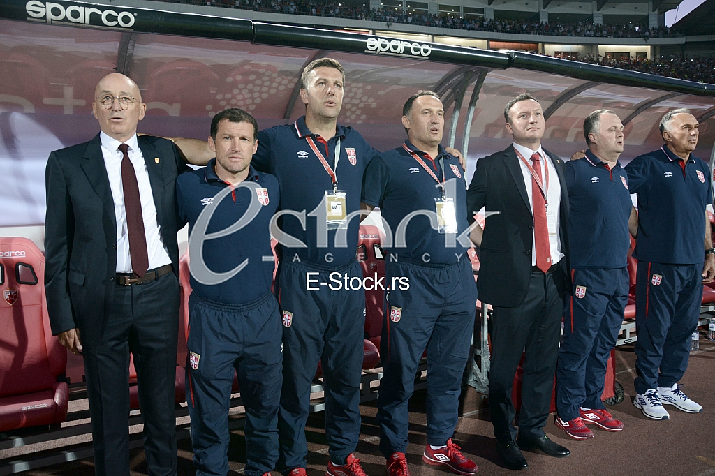  Serbia-Wales, football match.