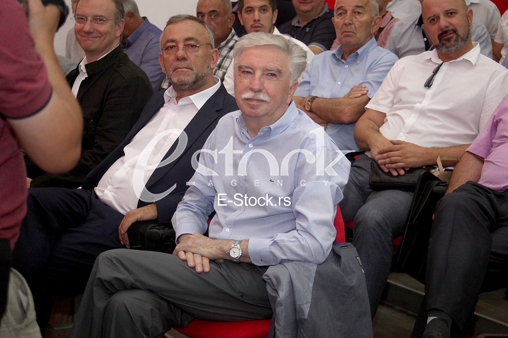 Nikola Sainovic