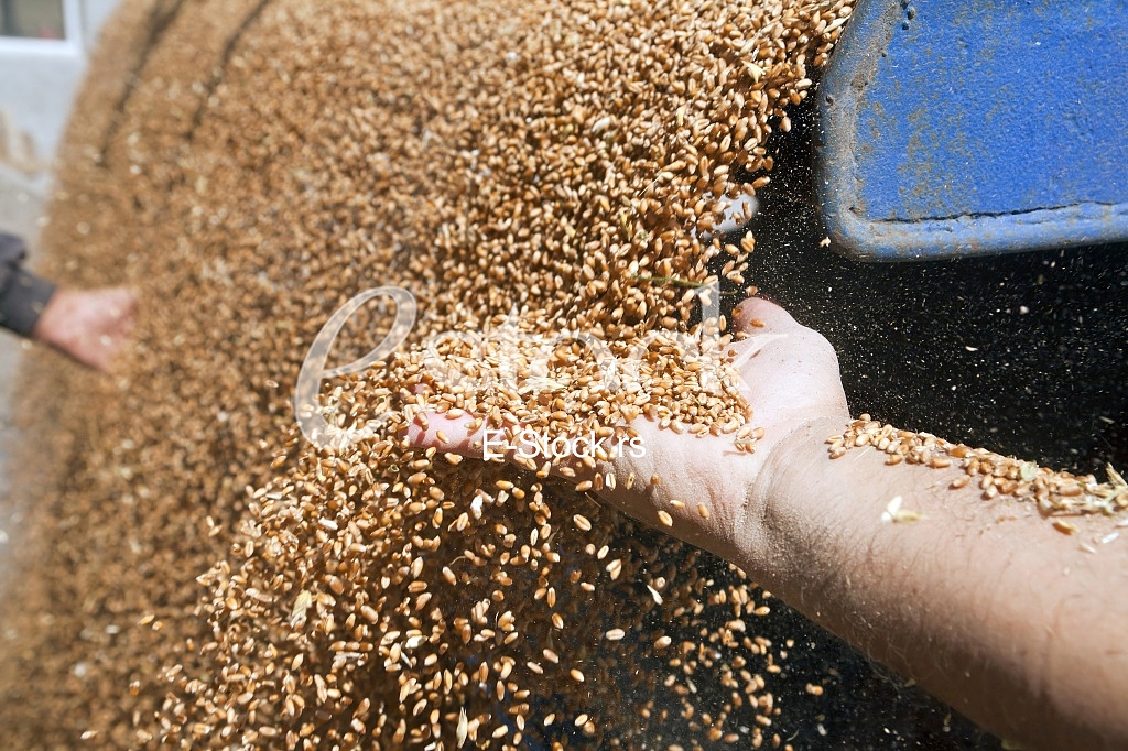 Agriculture